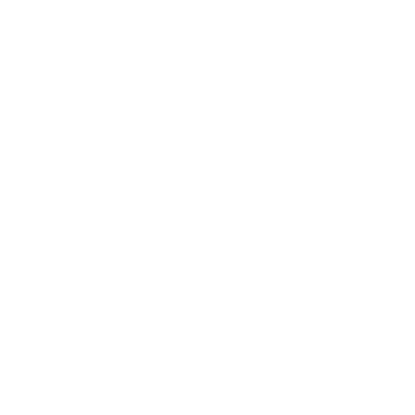 NightZoom Logo